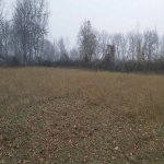 Satılır Torpaq Qəbələ 1