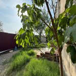 Продажа 3 комнат Дома/Виллы, м. Короглу метро, пос. Сабунчу, Сабунчу район 3