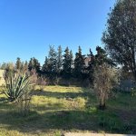 Продажа Участок, Шювалан, Хязяр район 2