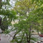 Satılır 1 otaqlı Köhnə Tikili, Elmlər akademiyası metrosu, Yasamal rayonu 13