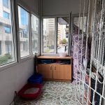 Аренда 2 комнатная Вторичка, м. 28 Мая метро, Насими район 11