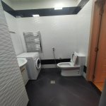 Kirayə (aylıq) 2 otaqlı Yeni Tikili, Nəsimi rayonu 12