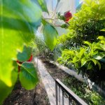 Satılır 7 otaqlı Həyət evi/villa, Mehdiabad, Abşeron rayonu 32