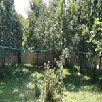 Kirayə (günlük) 3 otaqlı Həyət evi/villa İsmayıllı 24
