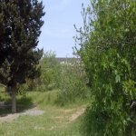 Satılır Torpaq, Buzovna, Xəzər rayonu 5