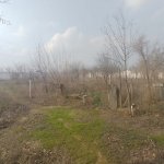 Satılır Torpaq, Məhəmmədli, Abşeron rayonu 1
