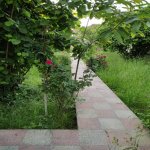 Kirayə (günlük) 3 otaqlı Həyət evi/villa Qəbələ 11