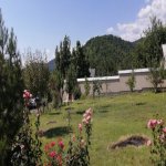 Kirayə (günlük) 6 otaqlı Həyət evi/villa Qəbələ 18