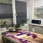 Kirayə (aylıq) 2 otaqlı Köhnə Tikili, Nəriman Nərimanov metrosu, Nərimanov rayonu 10