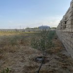 Satılır Torpaq, Nardaran qəs., Sea Breeze, Sabunçu rayonu 25