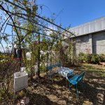 Посуточно 4 комнатная Дома/Виллы Ленкорань 17