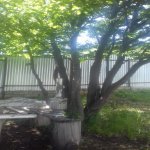 Kirayə (günlük) 4 otaqlı Həyət evi/villa İsmayıllı 23