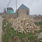 Satılır Torpaq, Avtovağzal metrosu, Sulutəpə qəs., Binəqədi rayonu 6
