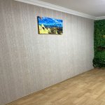 Kirayə (aylıq) 1 otaqlı Köhnə Tikili, Nəriman Nərimanov metrosu, Nərimanov rayonu 5