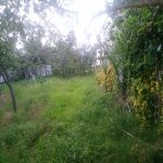Satılır Torpaq İsmayıllı 7