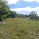 Satılır Torpaq Quba 3