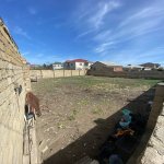 Satılır Torpaq, Masazır, Abşeron rayonu 4