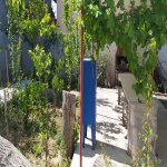 Kirayə (günlük) 3 otaqlı Bağ evi, Bahar qəs., Suraxanı rayonu 17