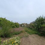 Satılır Torpaq, Şüvəlan, Xəzər rayonu 6