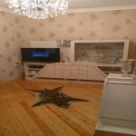 Продажа 2 комнат Новостройка, Мехдиабад, Абшерон район 5