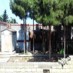 Satılır 11 otaqlı Bağ evi, Şüvəlan, Xəzər rayonu 29
