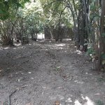 Satılır Torpaq Qax 17