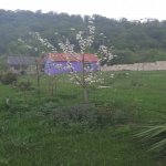 Kirayə (günlük) 2 otaqlı Bağ evi Oğuz 3