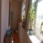 Kirayə (aylıq) 3 otaqlı Köhnə Tikili, Yeni Günəşli qəs., Suraxanı rayonu 8