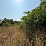Продажа Участок, Шювалан, Хязяр район 3