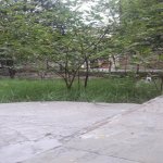 Satılır Torpaq, Nərimanov rayonu 6