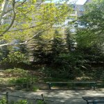 Продажа 3 комнатная Вторичка, пос. Йени Гюняшли, Сураханы район 9