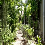 Kirayə (aylıq) 7 otaqlı Həyət evi/villa, Mərdəkan, Xəzər rayonu 12