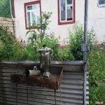 Kirayə (günlük) 3 otaqlı Həyət evi/villa Qax 6