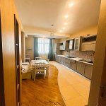 Kirayə (aylıq) 2 otaqlı Yeni Tikili, Gənclik metrosu, Dədə Qorqud parkı, Nəsimi rayonu 2
