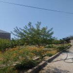 Satılır Torpaq, Qala, Xəzər rayonu 4