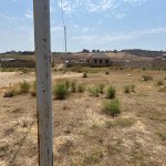 Satılır Torpaq, Saray, Abşeron rayonu 2