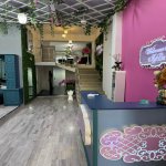 Аренда Объект, Nizami метро, Ясамал район 2