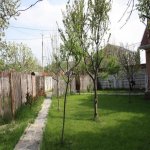 Kirayə (günlük) 2 otaqlı Həyət evi/villa Qəbələ 6