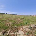 Satılır Torpaq, Saray, Abşeron rayonu 9