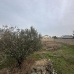 Satılır Torpaq, Mərdəkan, Xəzər rayonu 5
