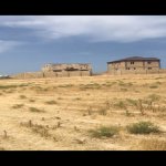Satılır Torpaq, Saray, Abşeron rayonu 3