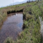 Продажа Участок Хачмаз 121