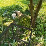 Satılır 5 otaqlı Bağ evi Qəbələ 3