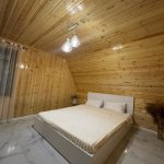 Kirayə (günlük) 3 otaqlı Həyət evi/villa Qəbələ 7