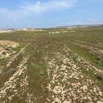 Satılır Torpaq, Masazır, Abşeron rayonu 10