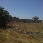 Satılır Torpaq, Maştağa qəs., Sabunçu rayonu 15