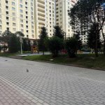 Kirayə (aylıq) 2 otaqlı Yeni Tikili, Elmlər akademiyası metrosu, Yasamal rayonu 9