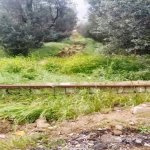 Satılır Torpaq, Nəsimi metrosu, 6-cı mikrorayon, Binəqədi rayonu 1