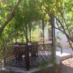 Kirayə (aylıq) 5 otaqlı Bağ evi, Mərdəkan, Xəzər rayonu 7