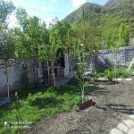 Kirayə (aylıq) 5 otaqlı Həyət evi/villa Qax 2